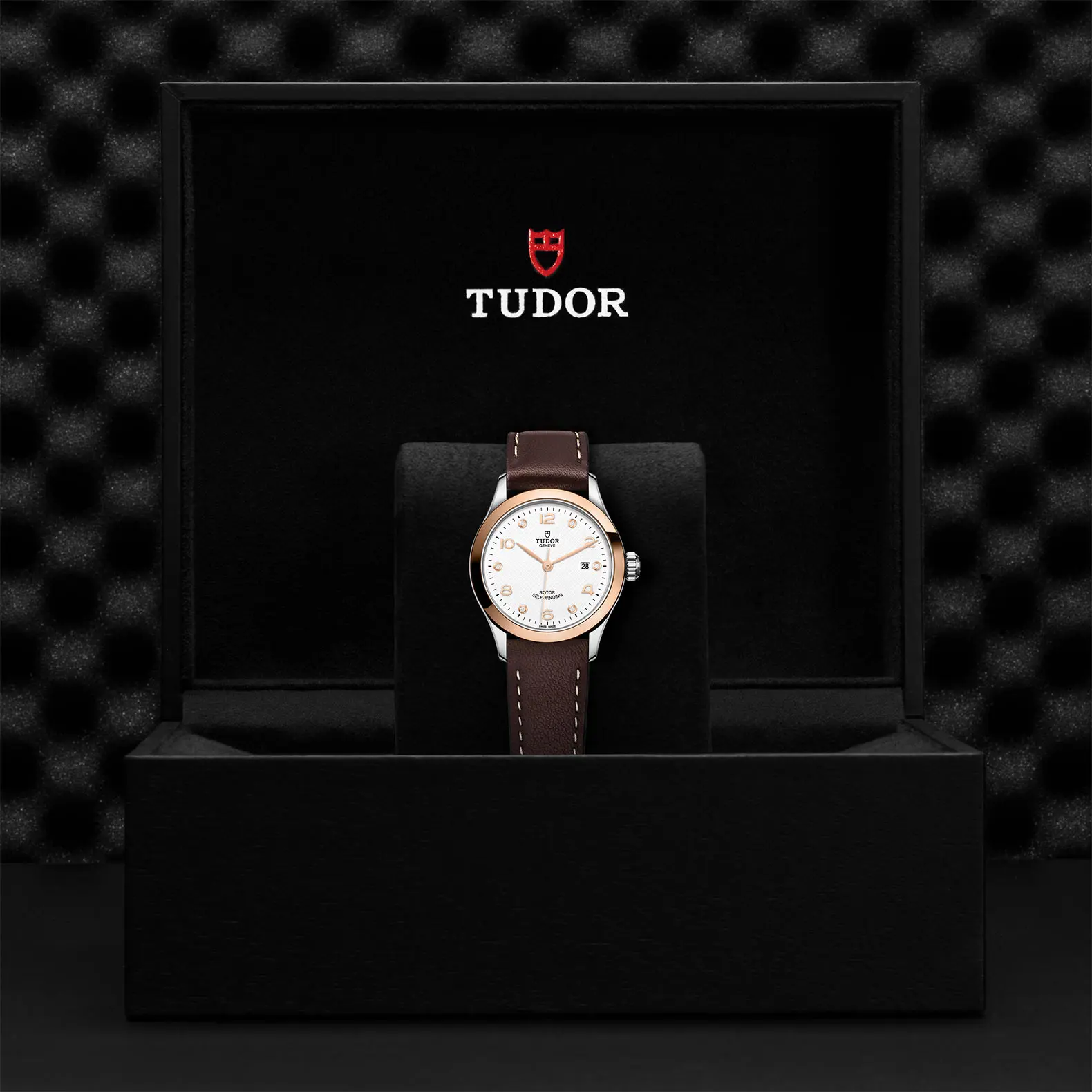 TUDOR19261926系列磨光钢表壳，直径28毫米 - M91351-0012 at Cortina Watch Malaysia