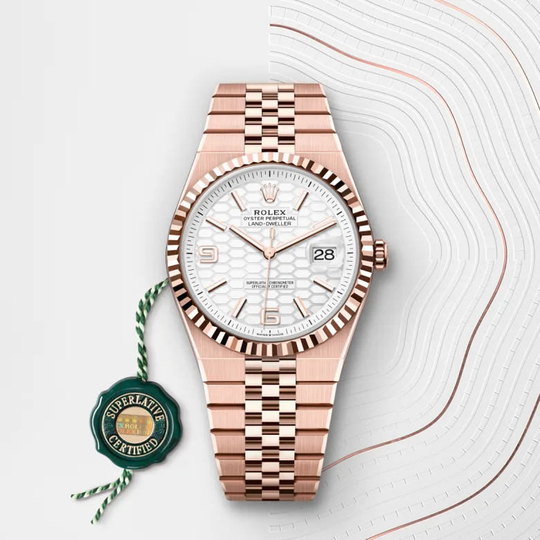 Rolex Land-Dweller in 18 ct Everose gold, M127335-0001 - Cortina Watch Malaysia