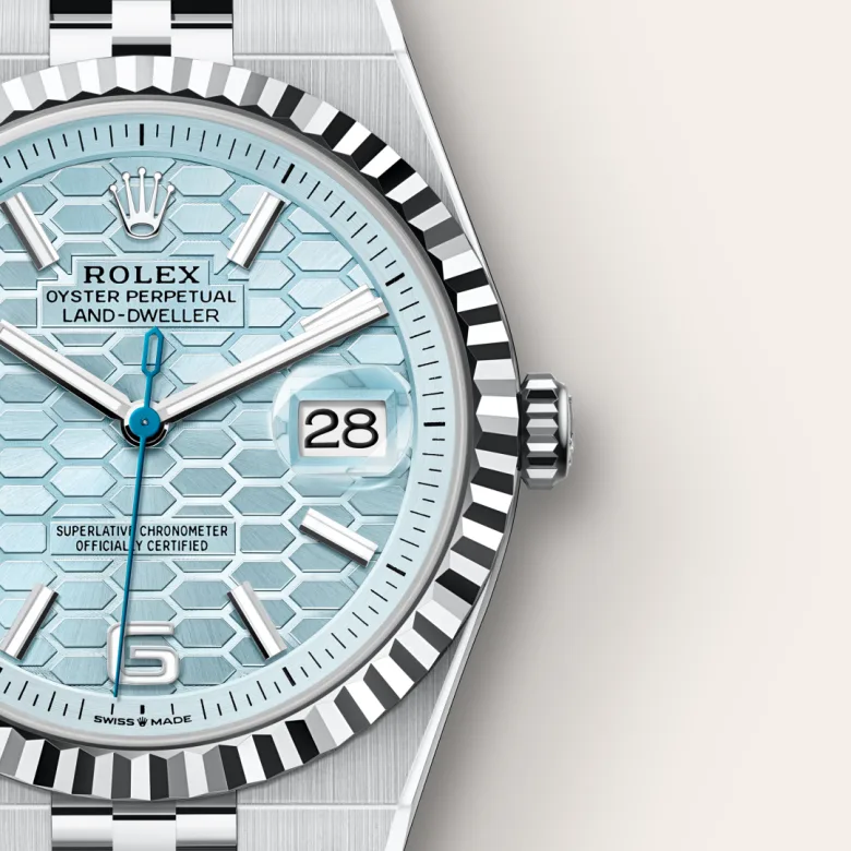 Rolex Land-Dweller in Platinum, M127336-0001 - Cortina Watch Malaysia