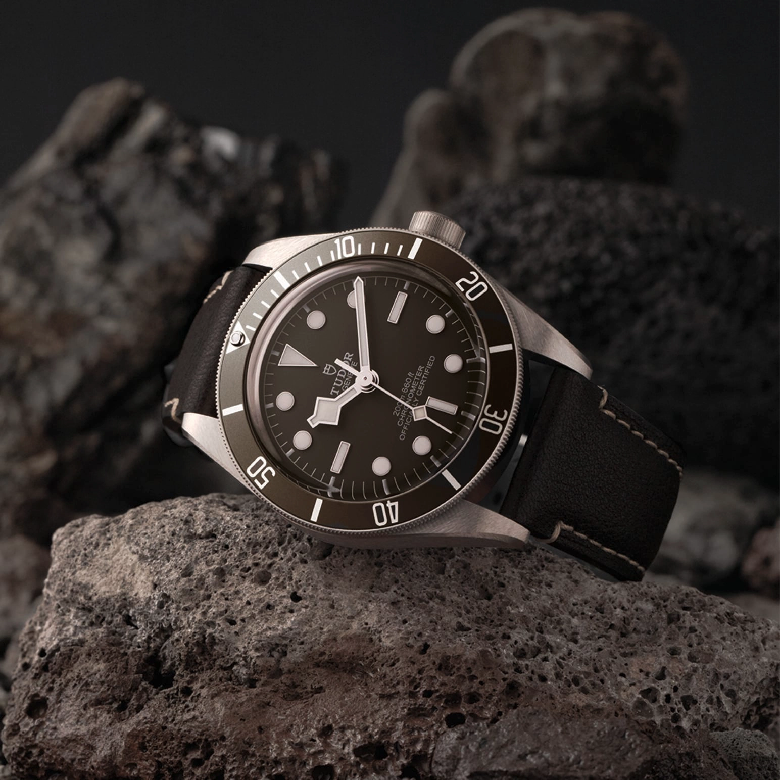 TUDORBlack Bay 58 925Black Bay 5839mm 925 silver case, satin finished Open case back with sapphire crystal - M79010SG-0001 at Cortina Watch Malaysia