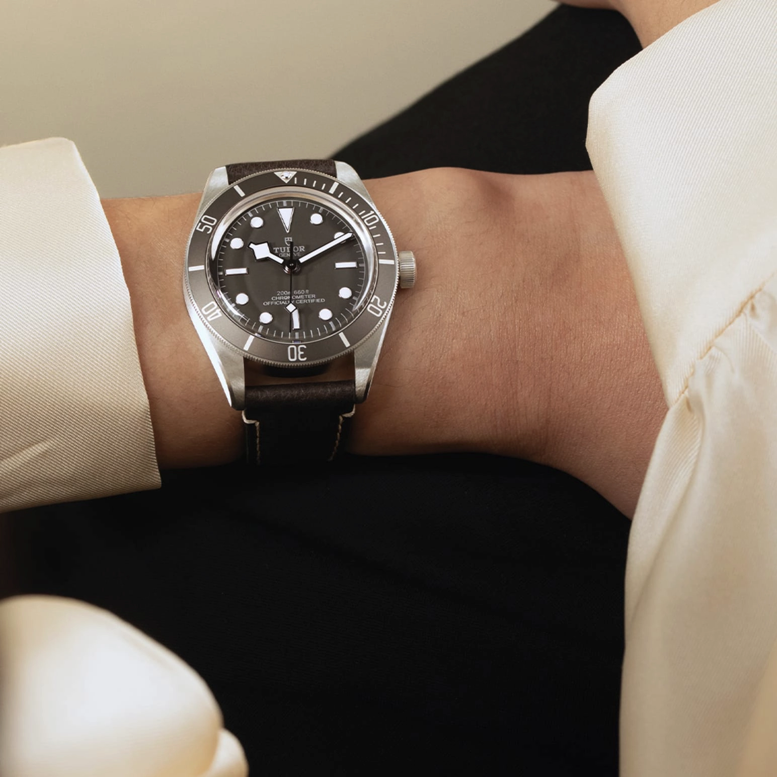 TUDORBlack Bay 58 925Black Bay 5839mm 925 silver case, satin finished Open case back with sapphire crystal - M79010SG-0001 at Cortina Watch Malaysia