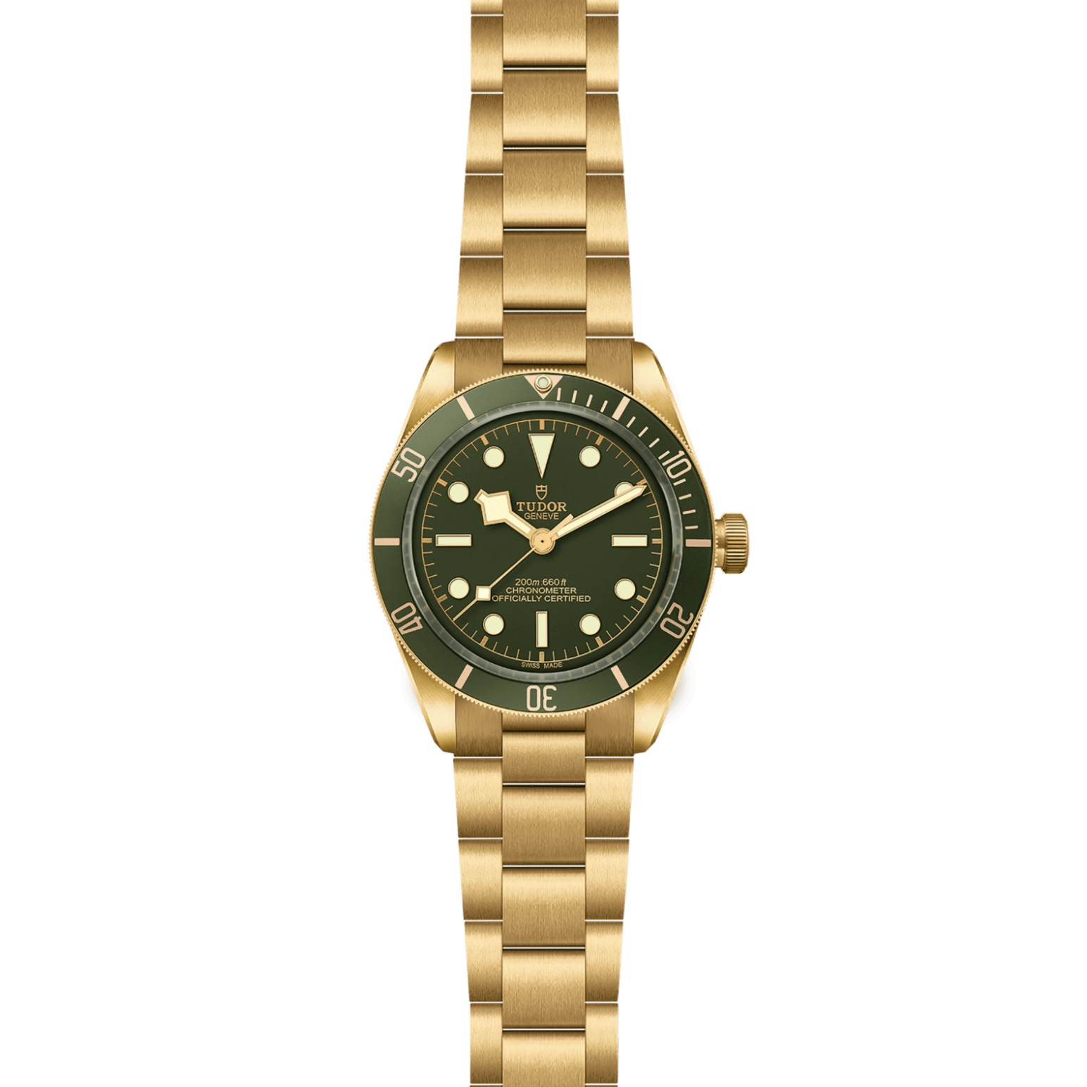 TUDORBlack Bay 58 18KBlack Bay 5839mm case, satin finished, in 18 ct yellow gold Open case back with sapphire crystal - M79018V-0006 at Cortina Watch Malaysia