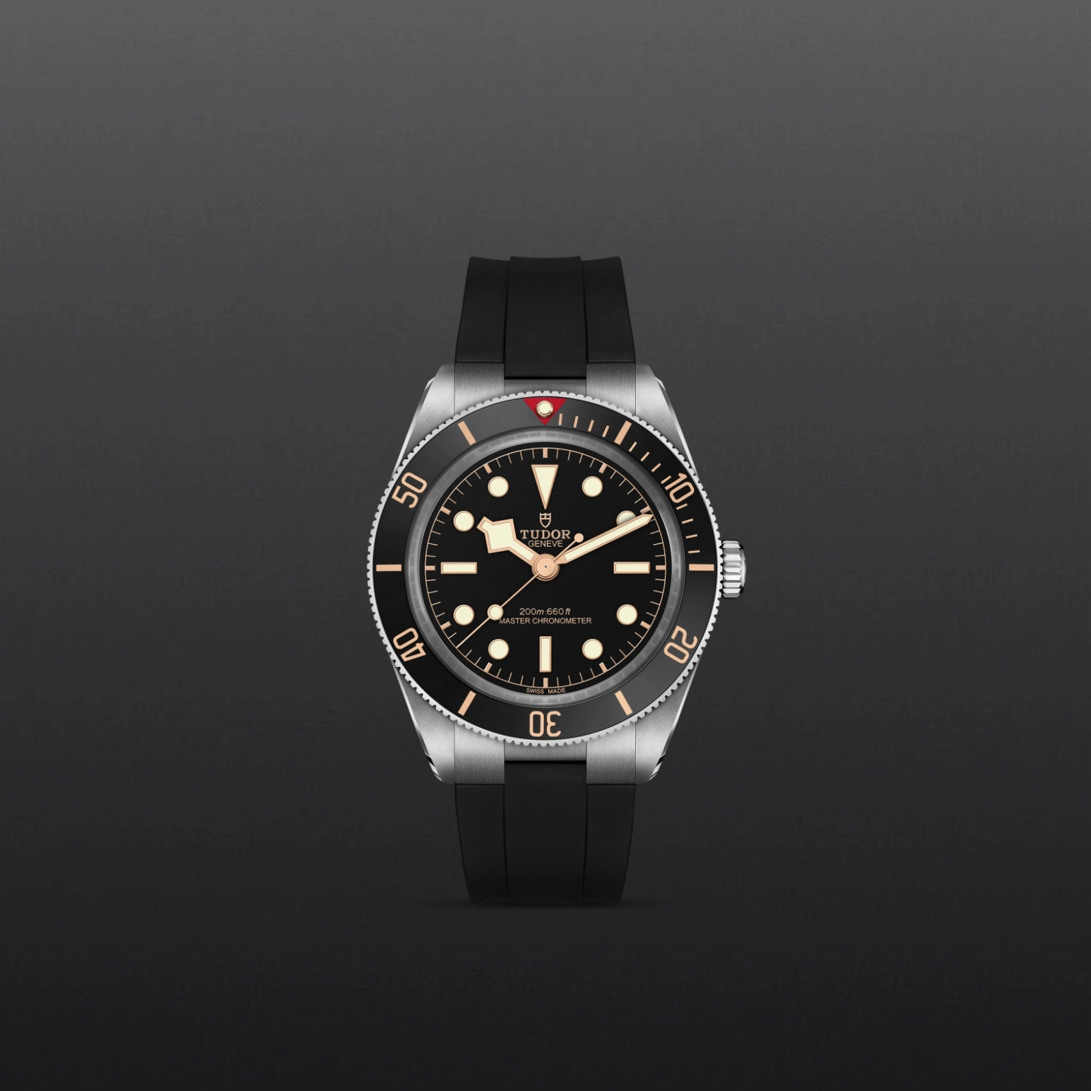 TUDORBlack Bay 58Black Bay 5839mm stainless steel case with polished and satin finishes - M7939A1A0NU-0003 at Cortina Watch Malaysia