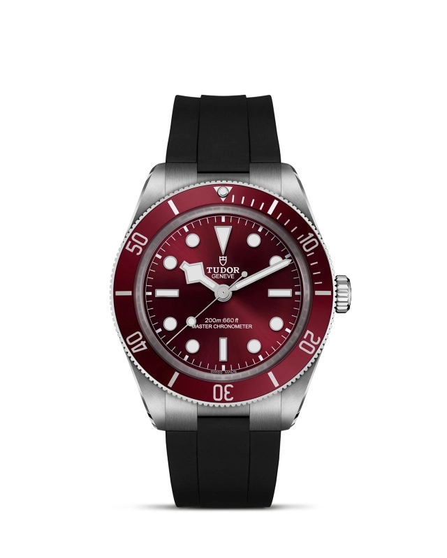 TUDORBlack Bay 58Black Bay 5839mm stainless steel case with polished and satin finishes - M7939A1A0RU-0003 at Cortina Watch Malaysia