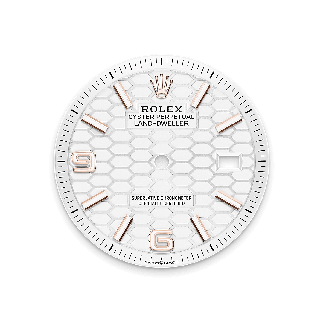 Rolex Land-Dweller in Emas Everose 18 karat, M127235-0001 - Cortina Watch Malaysia