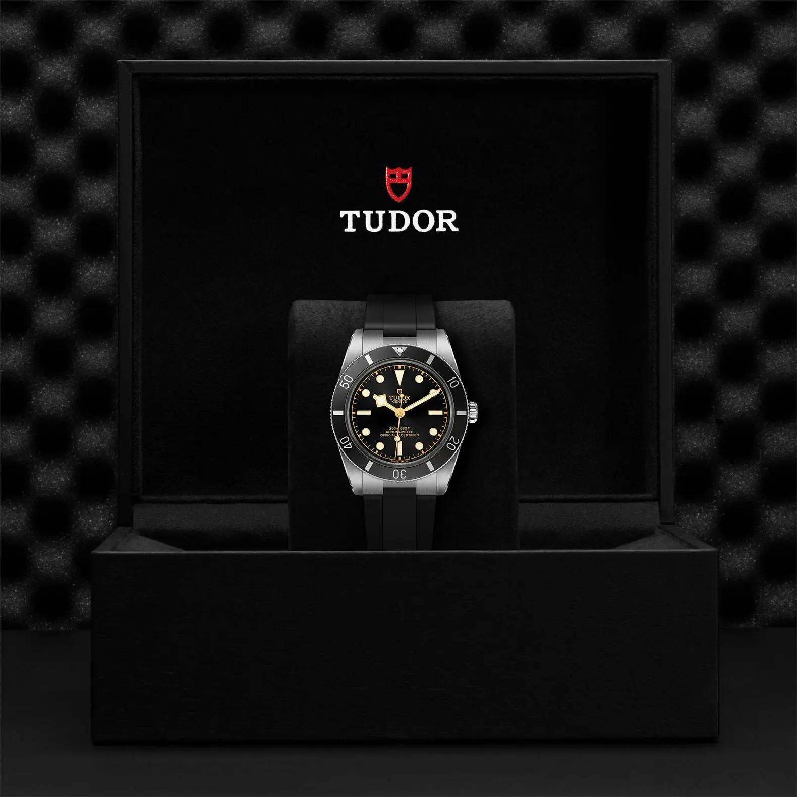 TUDORBlack Bay 54Black Bay 5437mm stainless steel case with polished and satin finish - M79000N-0002 at Cortina Watch Thailand