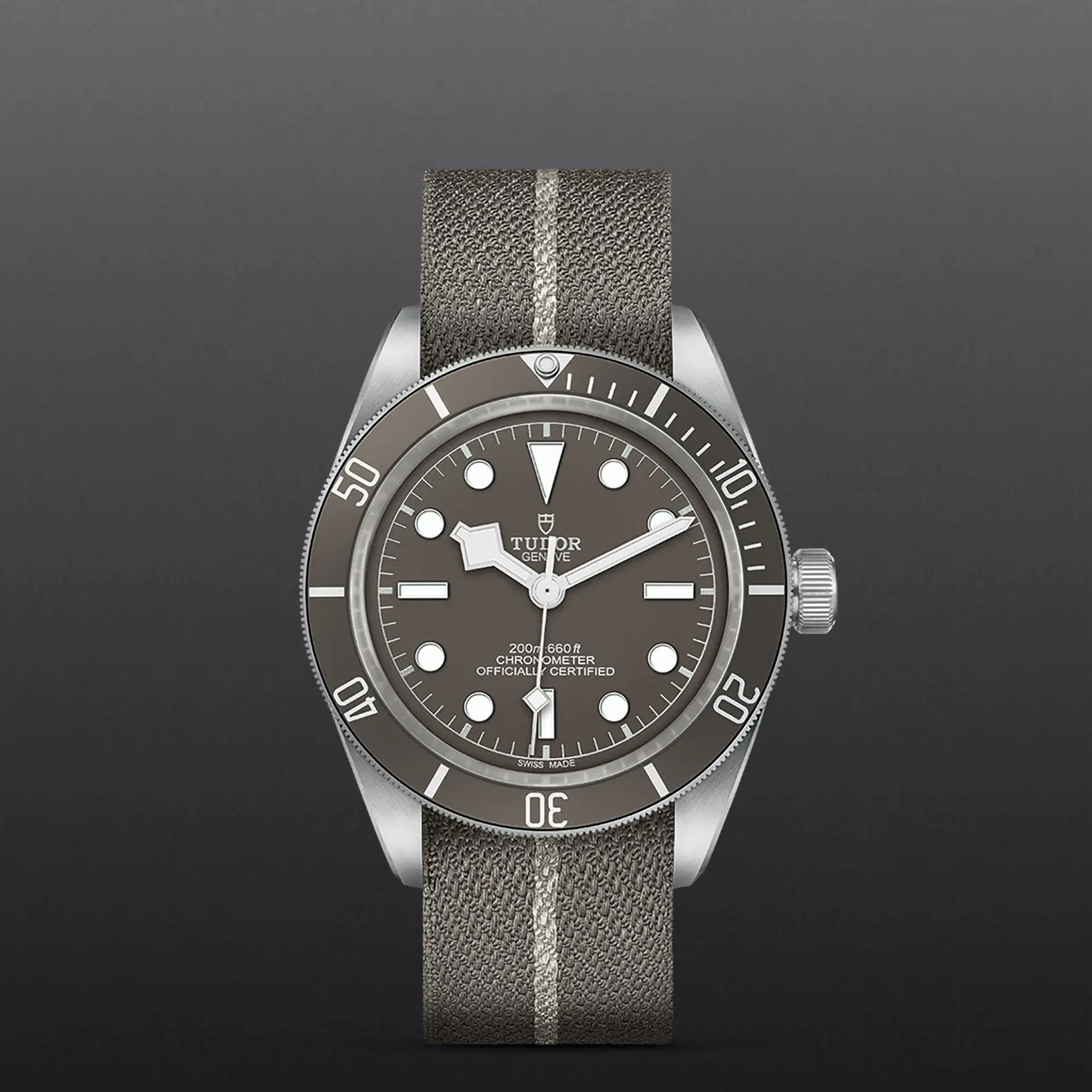 TUDORBlack Bay 58 925Black Bay 5839mm 925 silver case, satin finished Open case back with sapphire crystal - M79010SG-0002 at Cortina Watch Thailand