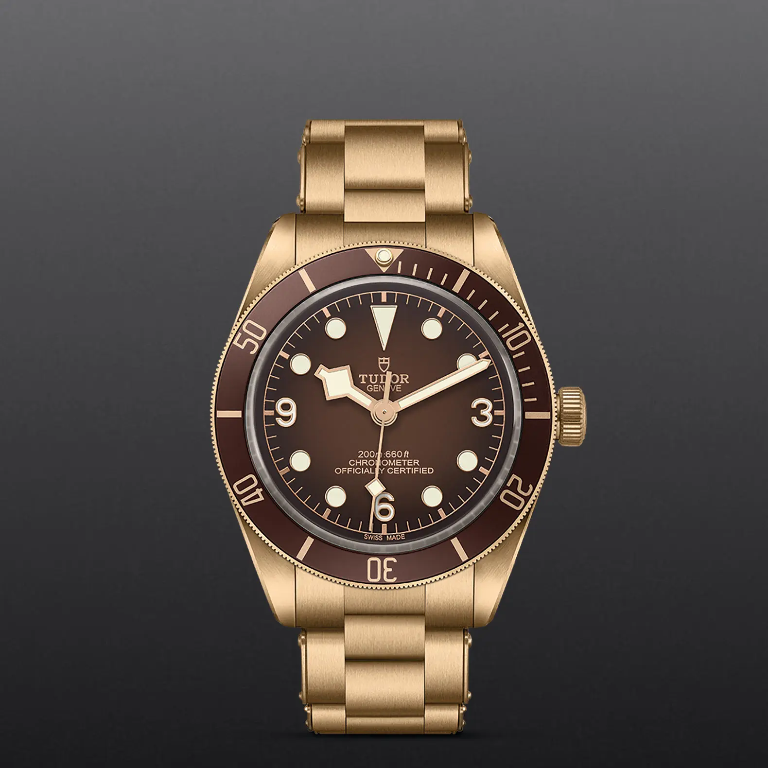 TUDORBlack Bay 58 Bronze "Boutique Edition"Black Bay 5839mm satin-brushed bronze case whose colour evolves to match its user’s habits - M79012M-0001 at Cortina Watch Thailand
