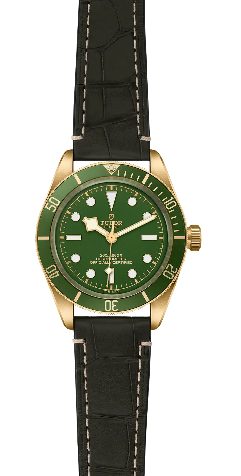 TUDORBlack Bay 58 18KBlack Bay 5839mm case, satin finished, in 18 ct yellow gold Open case back with sapphire crystal - M79018V-0001 at Cortina Watch Thailand