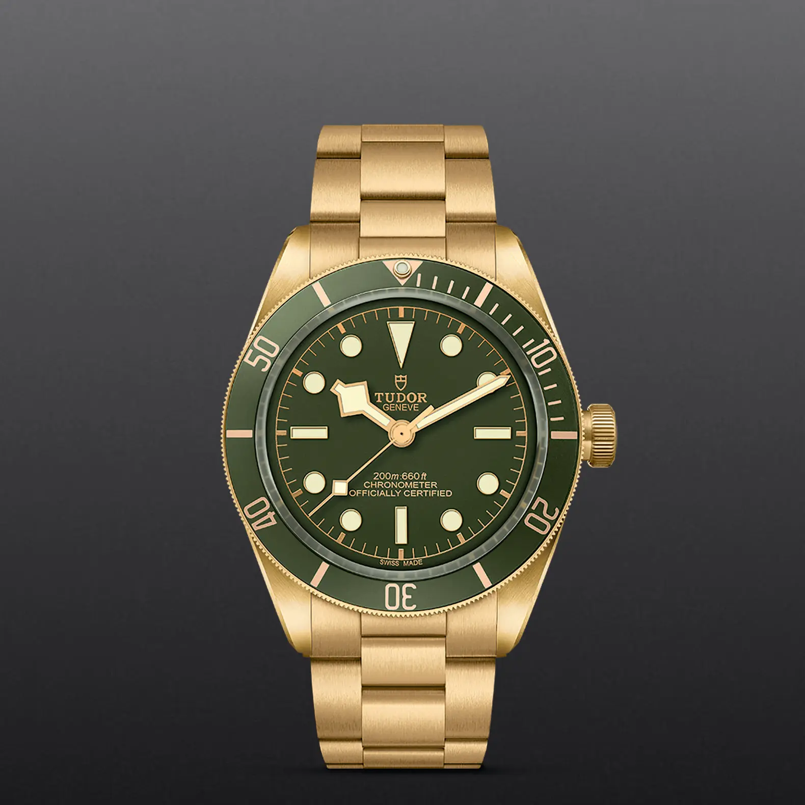 TUDORBlack Bay 58 18KBlack Bay 5839mm case, satin finished, in 18 ct yellow gold Open case back with sapphire crystal - M79018V-0006 at Cortina Watch Thailand