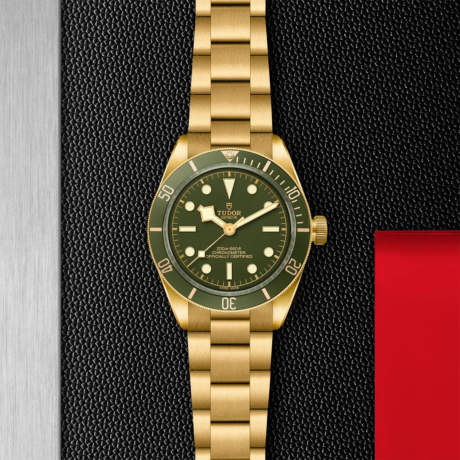TUDORBlack Bay 58 18KBlack Bay 5839mm case, satin finished, in 18 ct yellow gold Open case back with sapphire crystal - M79018V-0006 at Cortina Watch Thailand