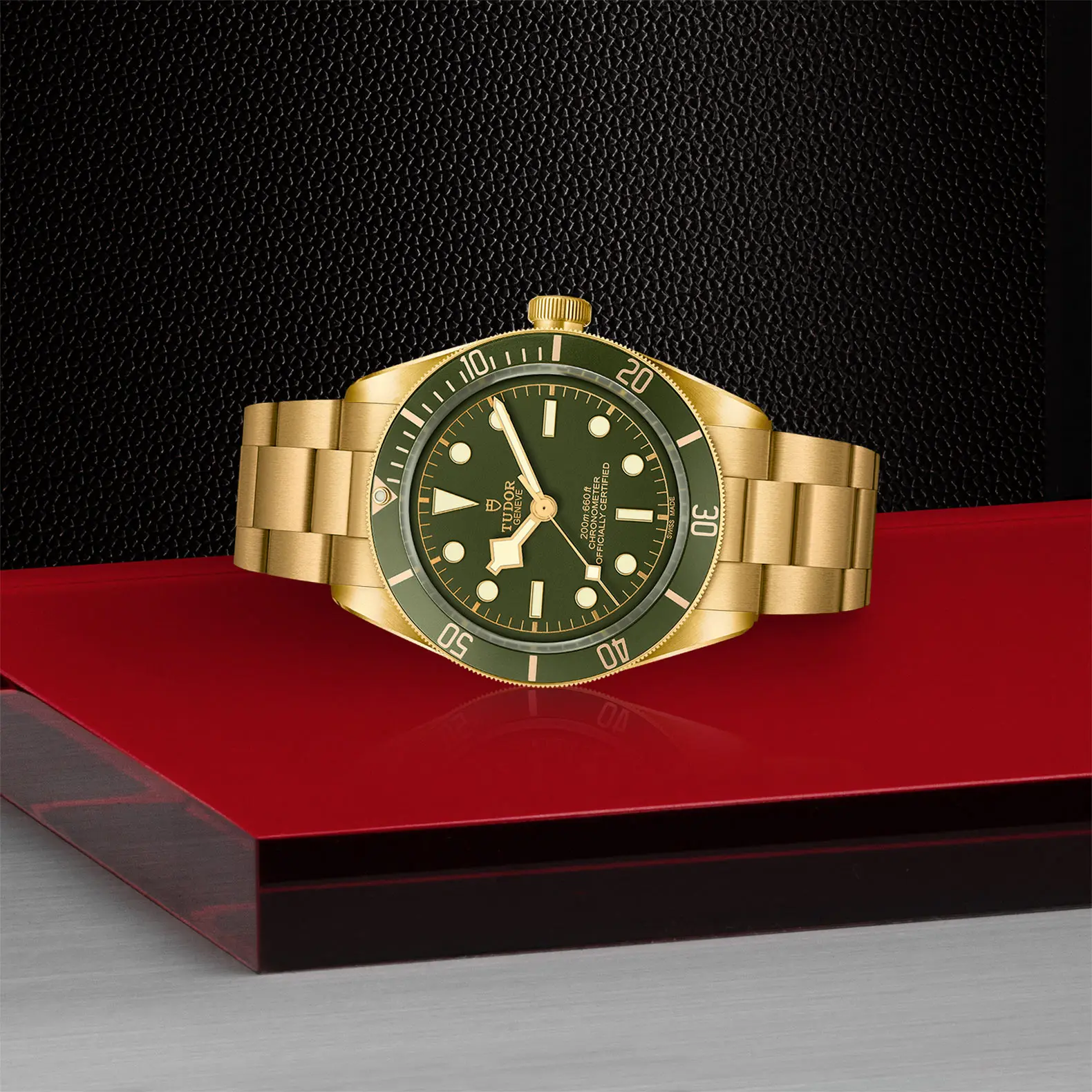 TUDORBlack Bay 58 18KBlack Bay 5839mm case, satin finished, in 18 ct yellow gold Open case back with sapphire crystal - M79018V-0006 at Cortina Watch Thailand