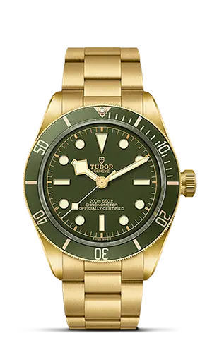 TUDORBlack Bay 58 18KBlack Bay 5839mm case, satin finished, in 18 ct yellow gold Open case back with sapphire crystal - M79018V-0006 at Cortina Watch Thailand