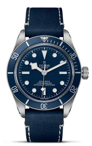 TUDORBlack Bay 58Black Bay 5839mm steel case with polished and satin finish - M79030B-0002 at Cortina Watch Thailand