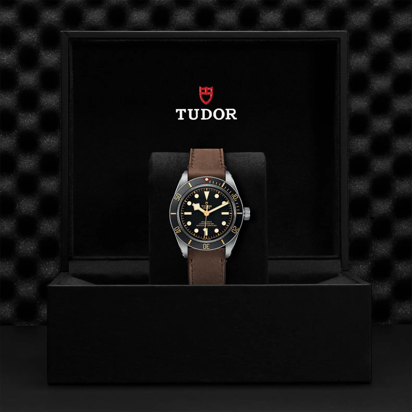 TUDORBlack Bay 58Black Bay 5839mm steel case with polished and satin finish - M79030N-0002 at Cortina Watch Thailand