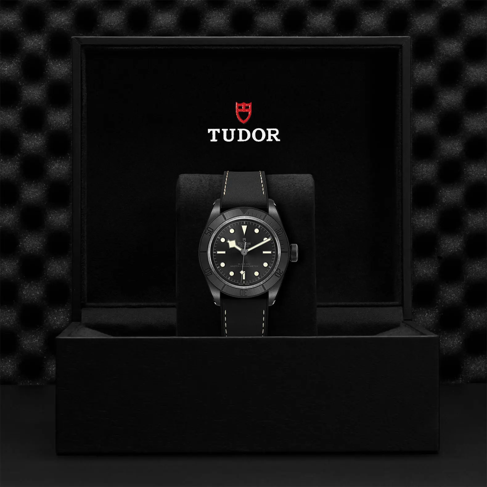 TUDORBlack Bay CeramicBlack Bay41mm matt black ceramic case with micro-blasted finish and monobloc middle case Open case back in black-PVD-treated 316L steel with sapphire crystal - M79210CNU-0001 at Cortina Watch Thailand