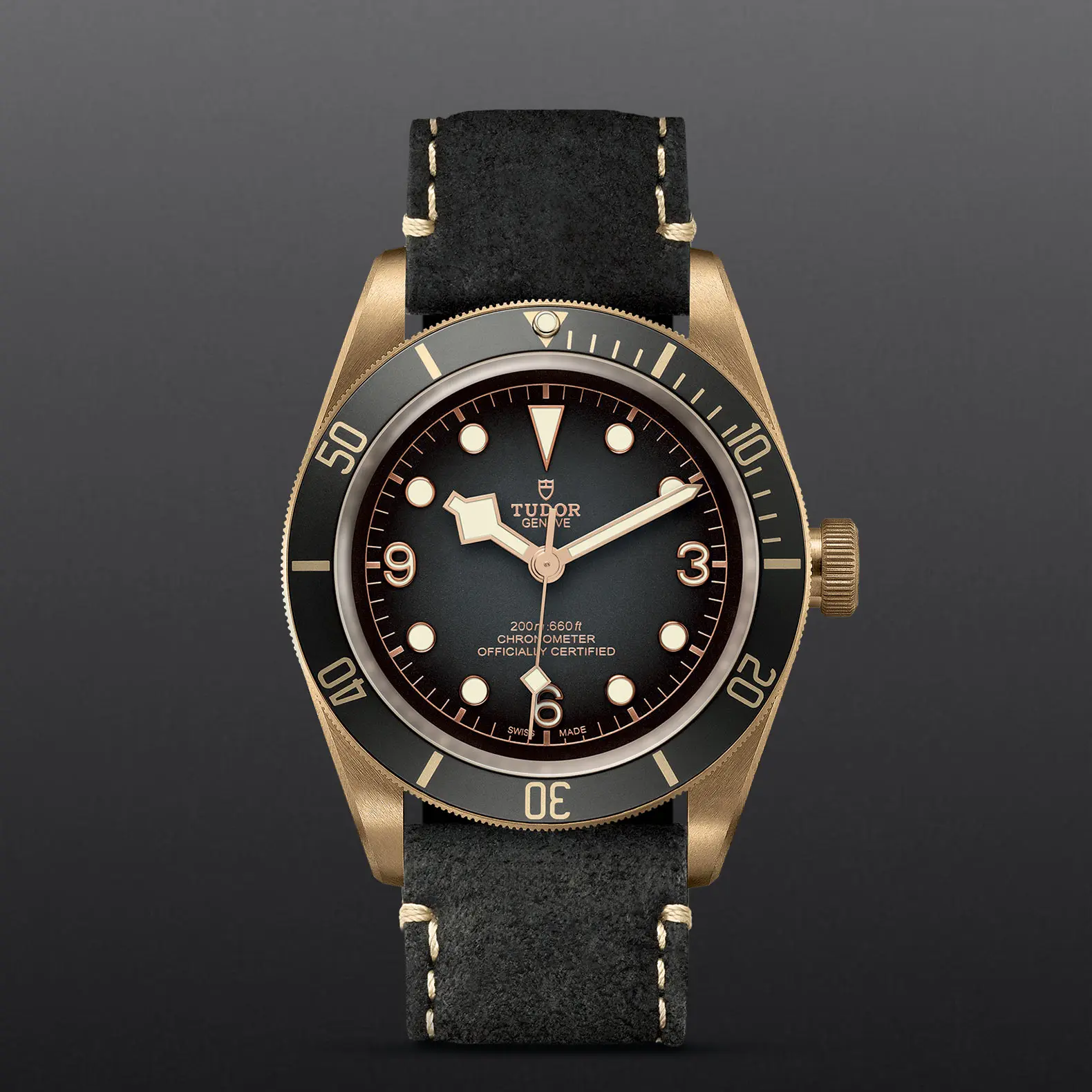 TUDORBlack Bay BronzeBlack Bay Bronze43mm bronze case with bronze-coloured PVD-treated steel case back and satin finish - M79250BA-0001 at Cortina Watch Thailand