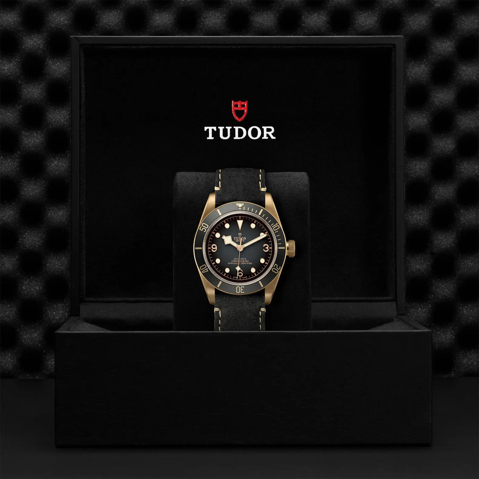 TUDORBlack Bay BronzeBlack Bay Bronze43mm bronze case with bronze-coloured PVD-treated steel case back and satin finish - M79250BA-0001 at Cortina Watch Thailand