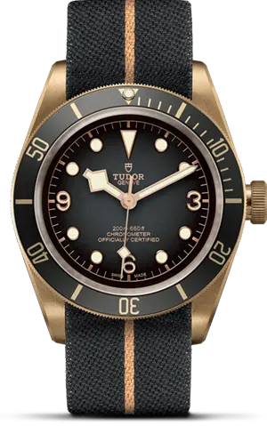 TUDORBlack Bay BronzeBlack Bay Bronze43mm bronze case with bronze-coloured PVD-treated steel case back and satin finish - M79250BA-0002 at Cortina Watch Thailand