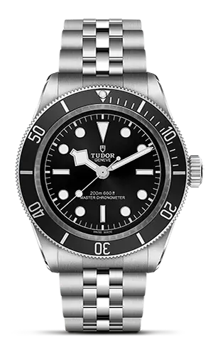 TUDORBlack BayBlack Bay41mm steel case with polished and satin finish - M7941A1A0NU-0003 at Cortina Watch Thailand