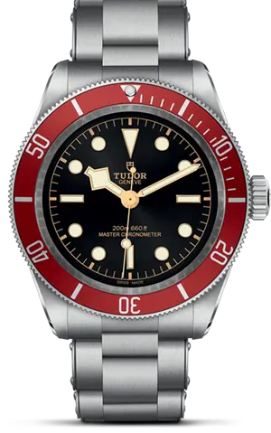 TUDORBlack BayBlack Bay41mm stainless steel case with polished and satin finish - M7941A1A0RU-0001 at Cortina Watch Thailand