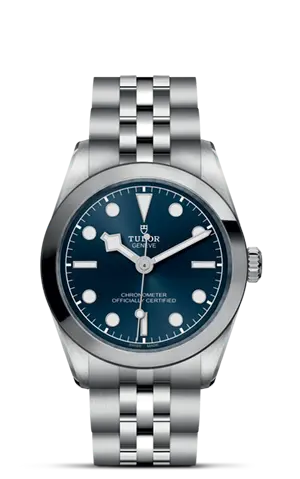 TUDORBlack Bay 31Black Bay 31/36/39/4131mm stainless steel case with polished and satin finish - M79600-0002 at Cortina Watch Thailand