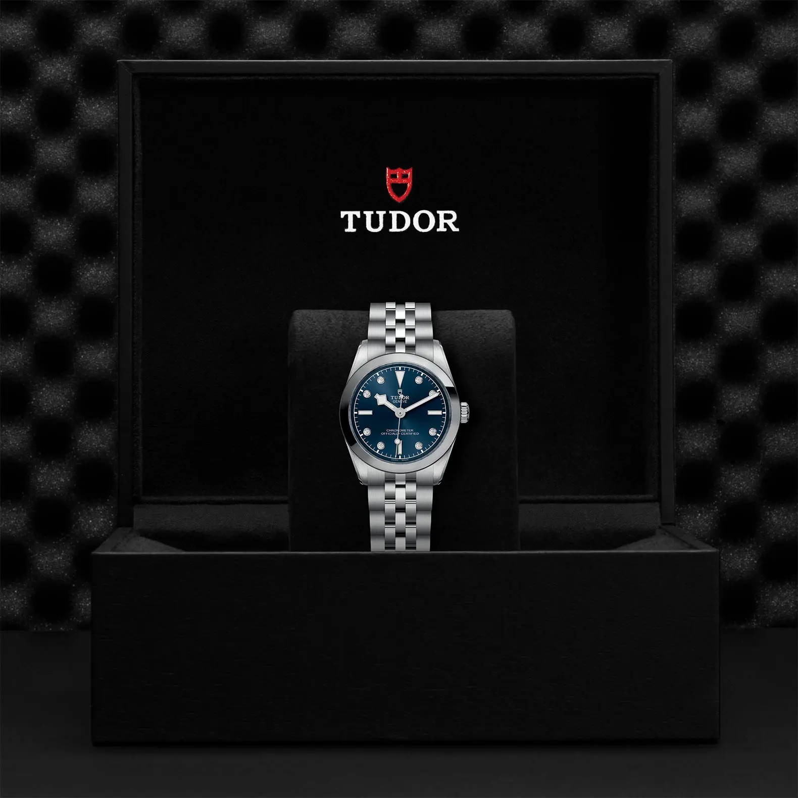 TUDORBlack Bay 31Black Bay 31/36/39/4131mm stainless steel case with polished and satin finish - M79600-0005 at Cortina Watch Thailand
