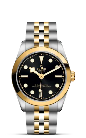 TUDORBlack Bay 31 S&GBlack Bay 31/36/39/4131mm 316L steel case with polished and satin finish - M79603-0001 at Cortina Watch Thailand