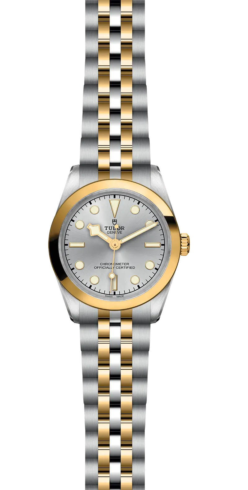 TUDORBlack Bay 31 S&GBlack Bay 31/36/39/4131mm 316L steel case with polished and satin finish - M79603-0002 at Cortina Watch Thailand