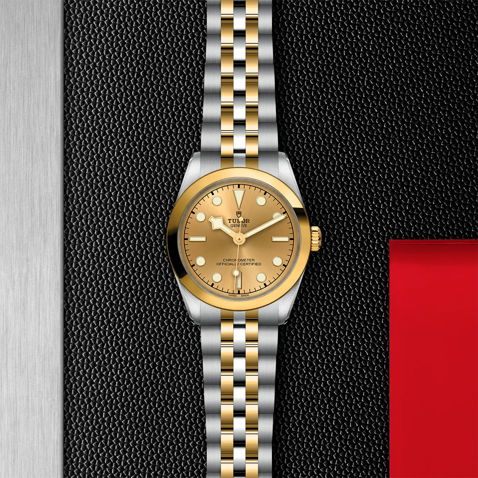 TUDORBlack Bay 31 S&GBlack Bay 31/36/39/4131mm 316L steel case with polished and satin finish - M79603-0005 at Cortina Watch Thailand