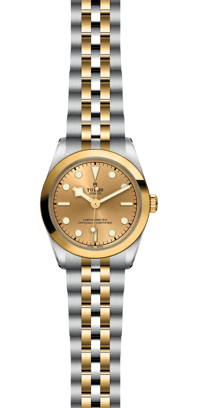 TUDORBlack Bay 31 S&GBlack Bay 31/36/39/4131mm 316L steel case with polished and satin finish - M79603-0005 at Cortina Watch Thailand