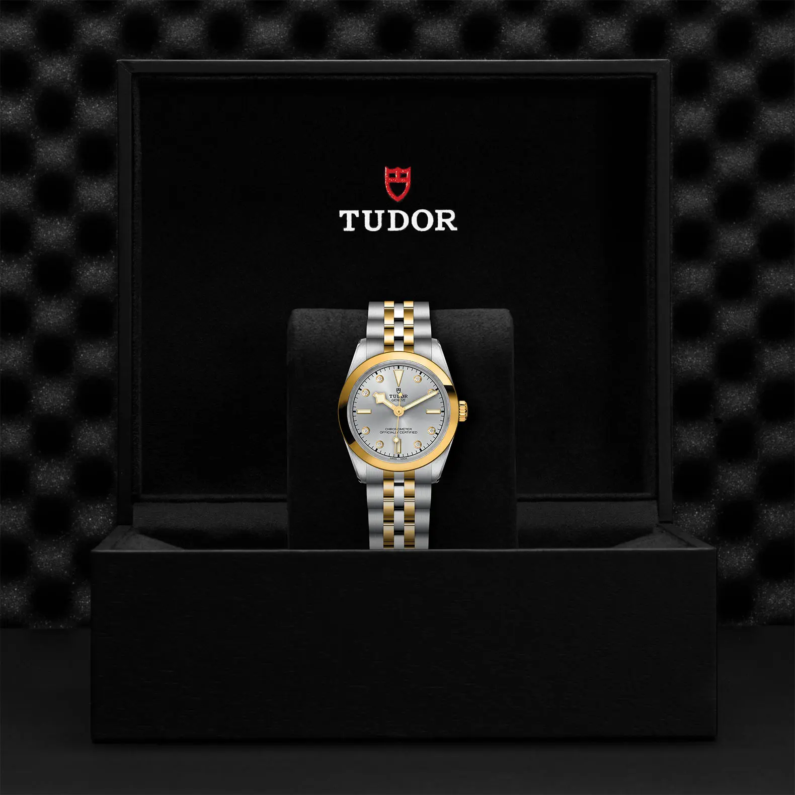TUDORBlack Bay 31 S&GBlack Bay 31/36/39/4131mm 316L steel case with polished and satin finish - M79603-0007 at Cortina Watch Thailand