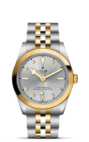 TUDORBlack Bay 31 S&GBlack Bay 31/36/39/4131mm 316L steel case with polished and satin finish - M79603-0007 at Cortina Watch Thailand