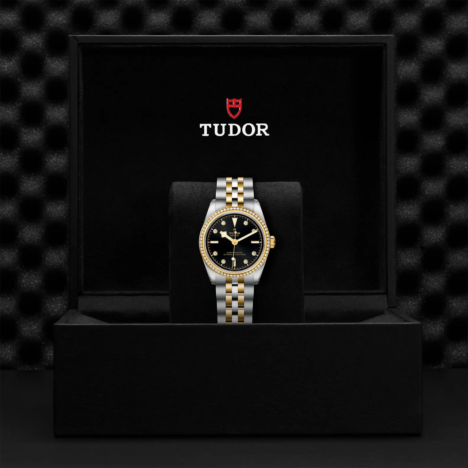TUDORBlack Bay 31 S&GBlack Bay 31/36/39/4131mm 316L steel case with polished and satin finish - M79613-0005 at Cortina Watch Thailand