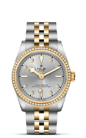 TUDORBlack Bay 31 S&GBlack Bay 31/36/39/4131mm 316L steel case with polished and satin finish - M79613-0006 at Cortina Watch Thailand