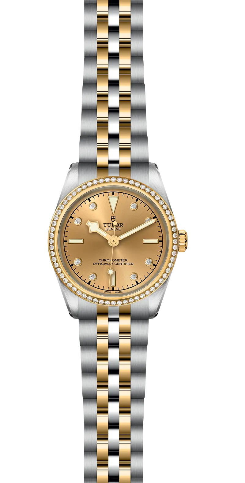 TUDORBlack Bay 31 S&GBlack Bay 31/36/39/4131mm 316L steel case with polished and satin finish - M79613-0007 at Cortina Watch Thailand