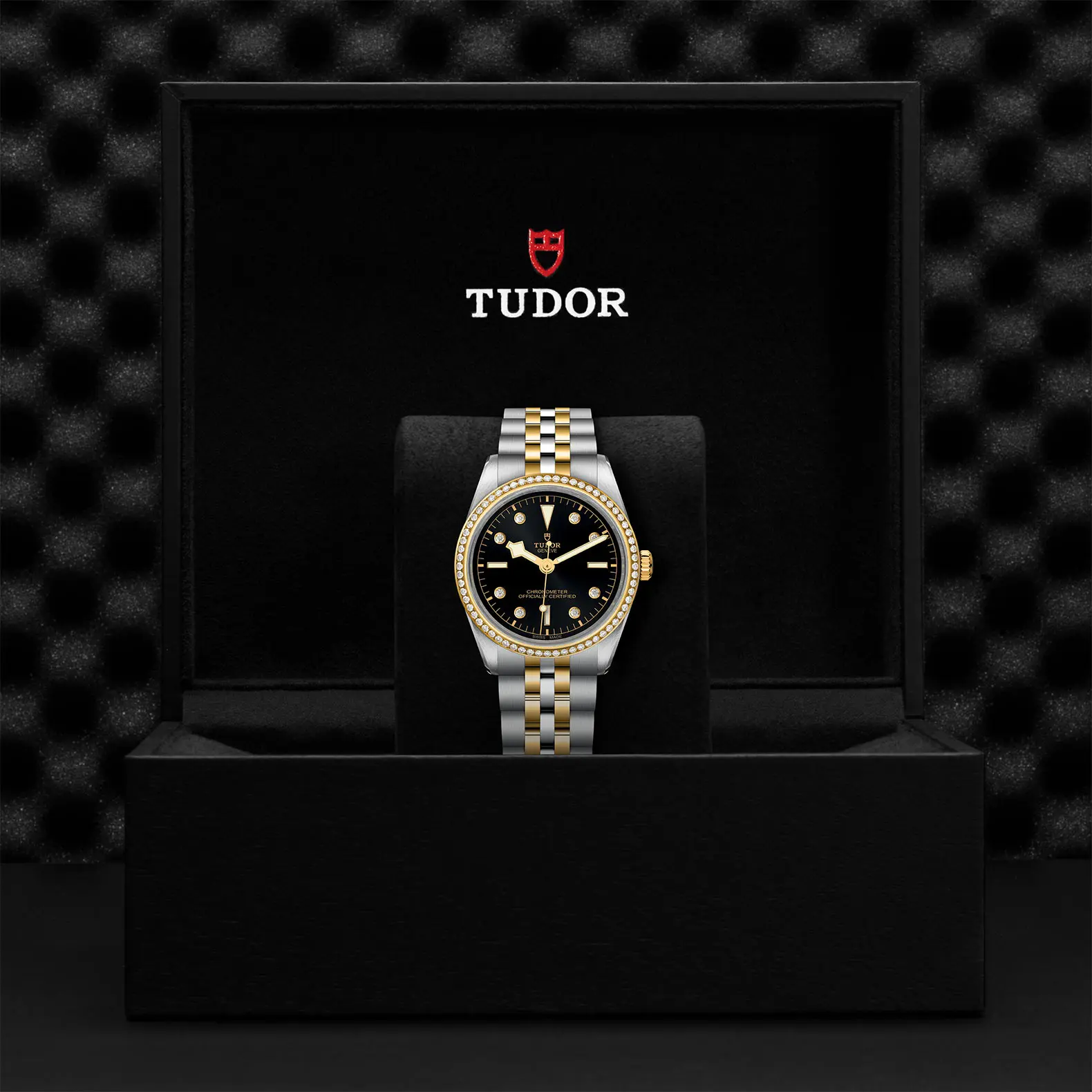 TUDORBlack Bay 36 S&GBlack Bay 31/36/39/4136mm steel case with polished and satin finish - M79653-0005 at Cortina Watch Thailand