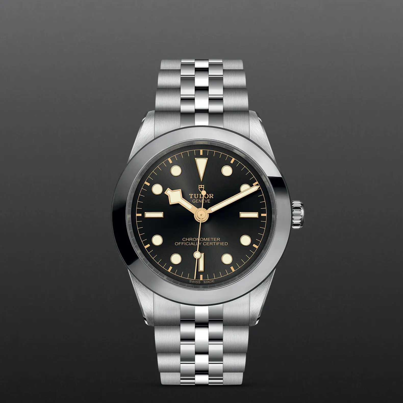 TUDORBlack Bay 39Black Bay 31/36/39/4139mm stainless steel case with polished and satin finish - M79660-0001 at Cortina Watch Thailand