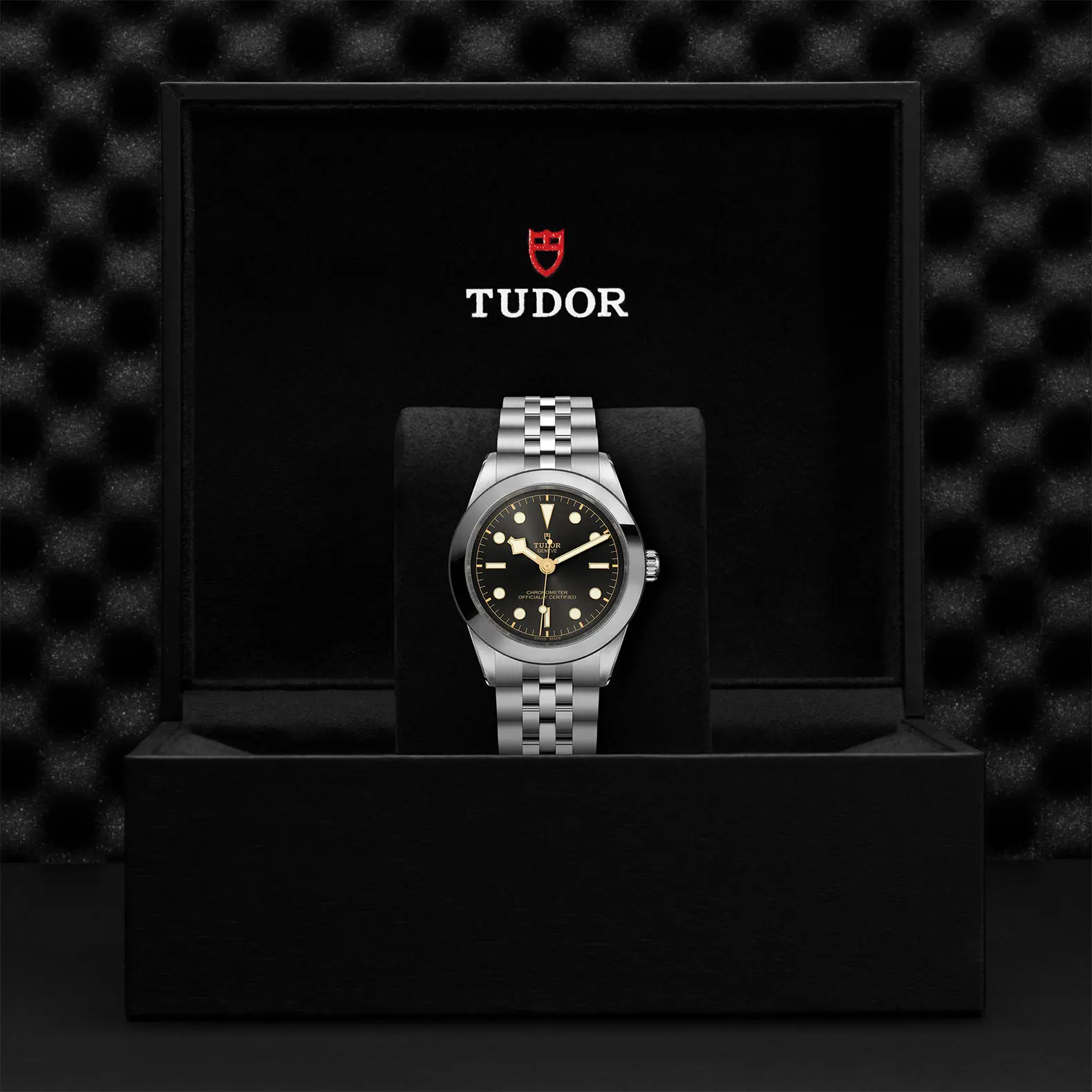 TUDORBlack Bay 39Black Bay 31/36/39/4139mm stainless steel case with polished and satin finish - M79660-0001 at Cortina Watch Thailand