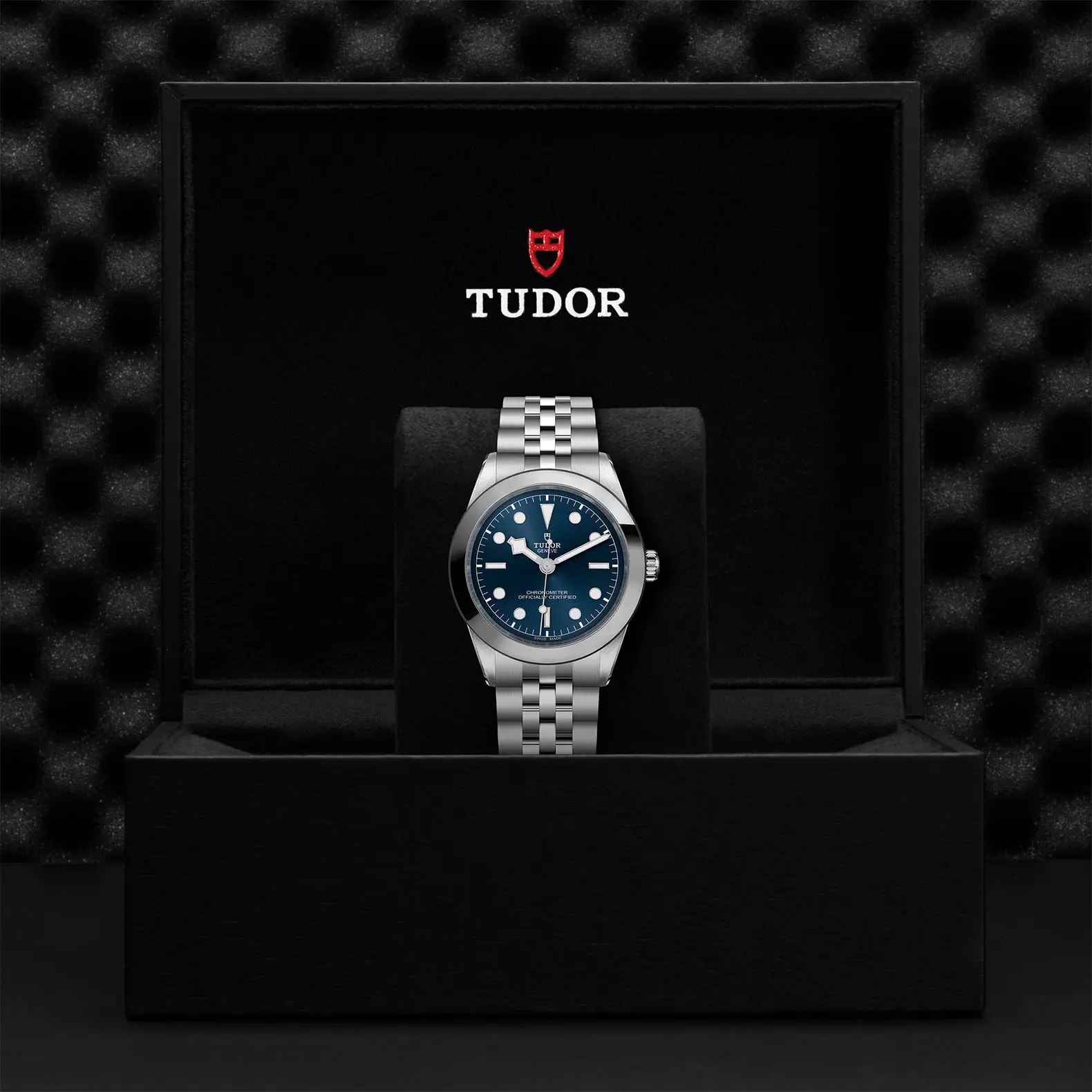 TUDORBlack Bay 39Black Bay 31/36/39/4139mm stainless steel case with polished and satin finish - M79660-0002 at Cortina Watch Thailand