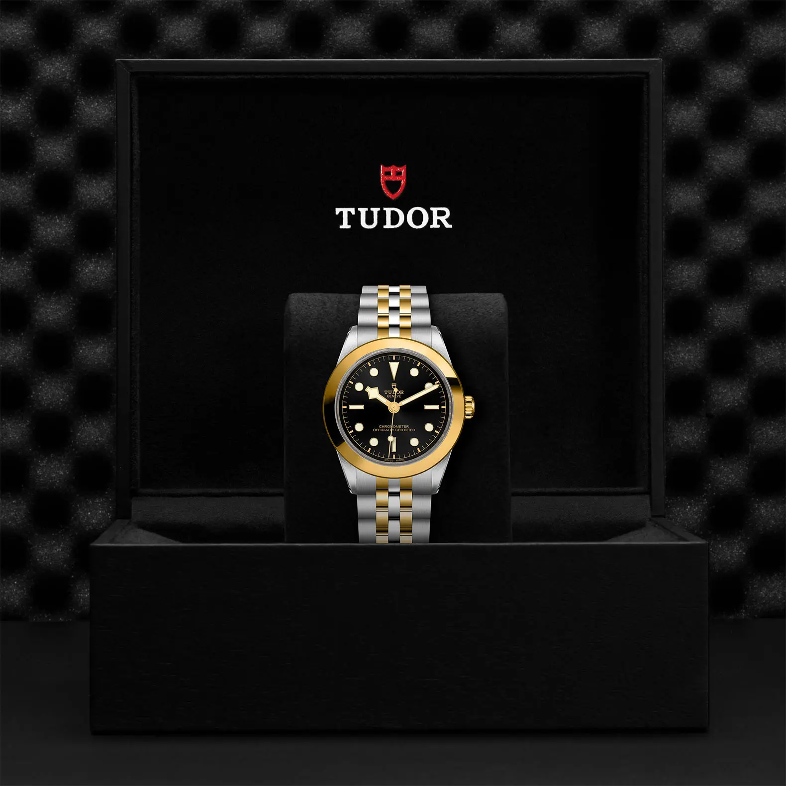 TUDORBlack Bay One 39 S&GBlack Bay One39mm steel case with polished and satin finish - M79663-0001 at Cortina Watch Thailand