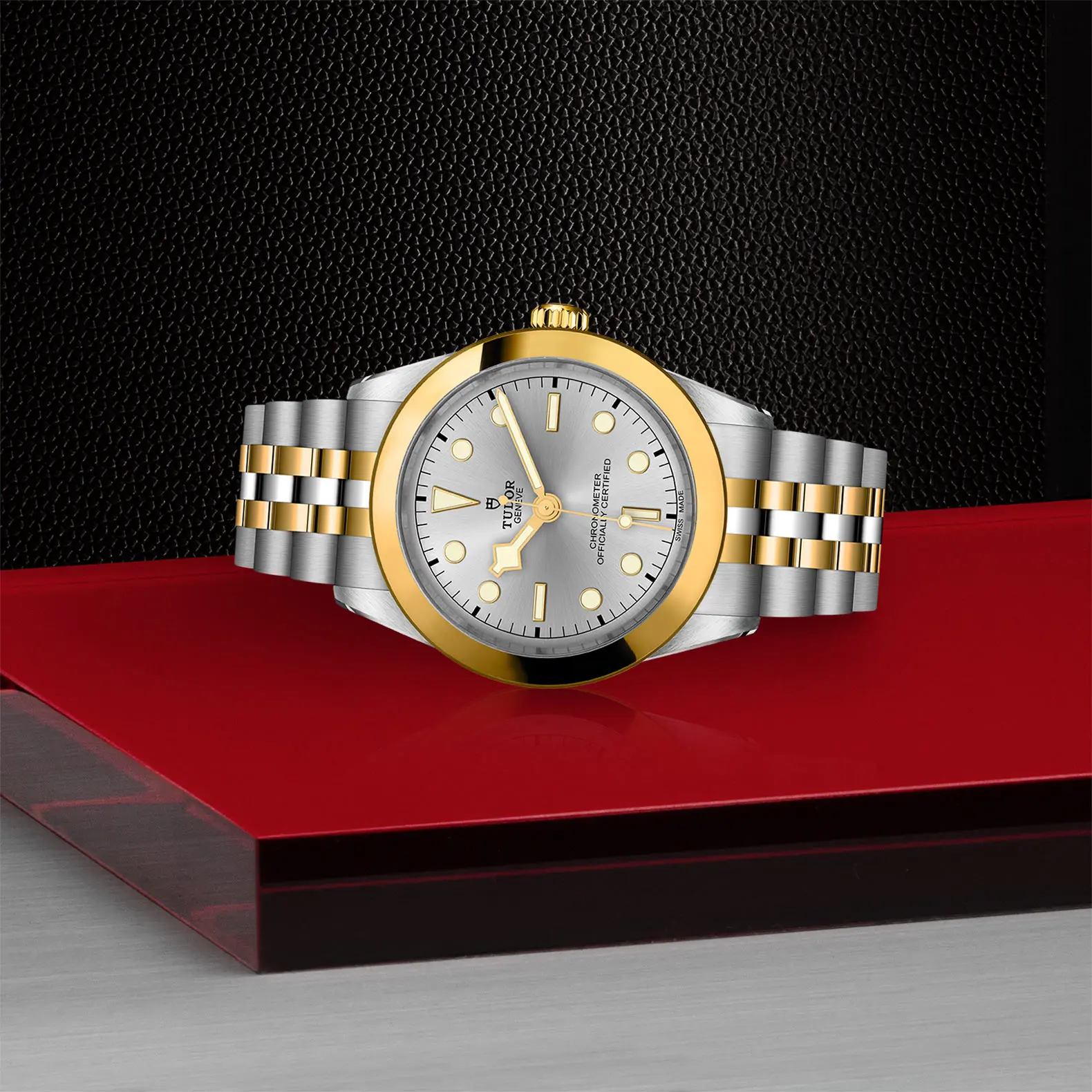 TUDORBlack Bay 39 S&GBlack Bay 31/36/39/4139mm steel case with polished and satin finish - M79663-0002 at Cortina Watch Thailand