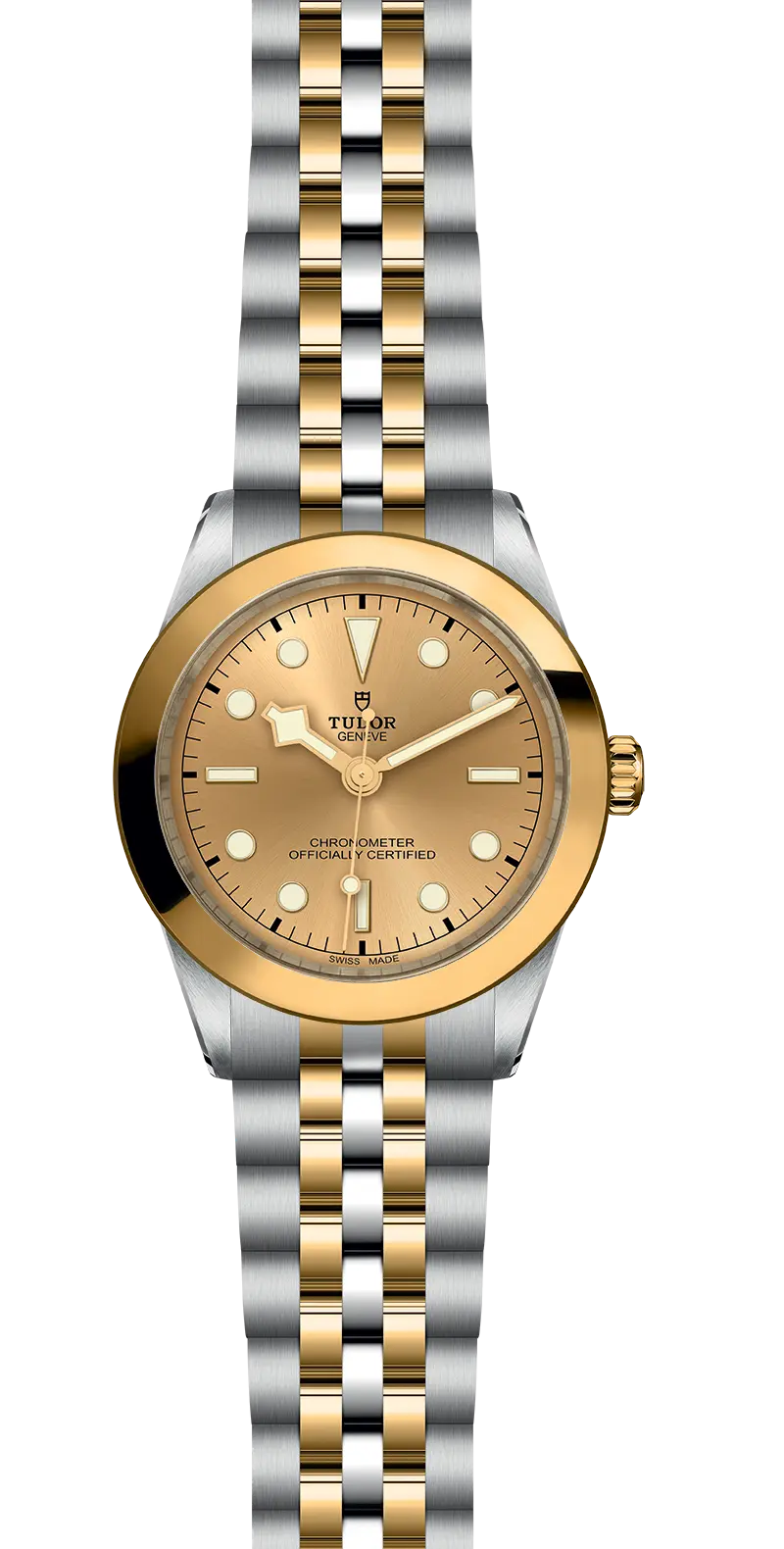 TUDORBlack Bay 39 S&GBlack Bay 31/36/39/4139mm steel case with polished and satin finish - M79663-0005 at Cortina Watch Thailand