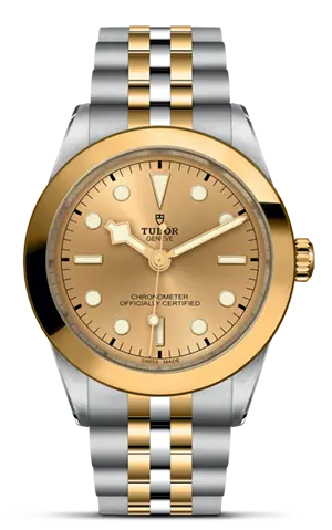 TUDORBlack Bay 39 S&GBlack Bay 31/36/39/4139mm steel case with polished and satin finish - M79663-0005 at Cortina Watch Thailand