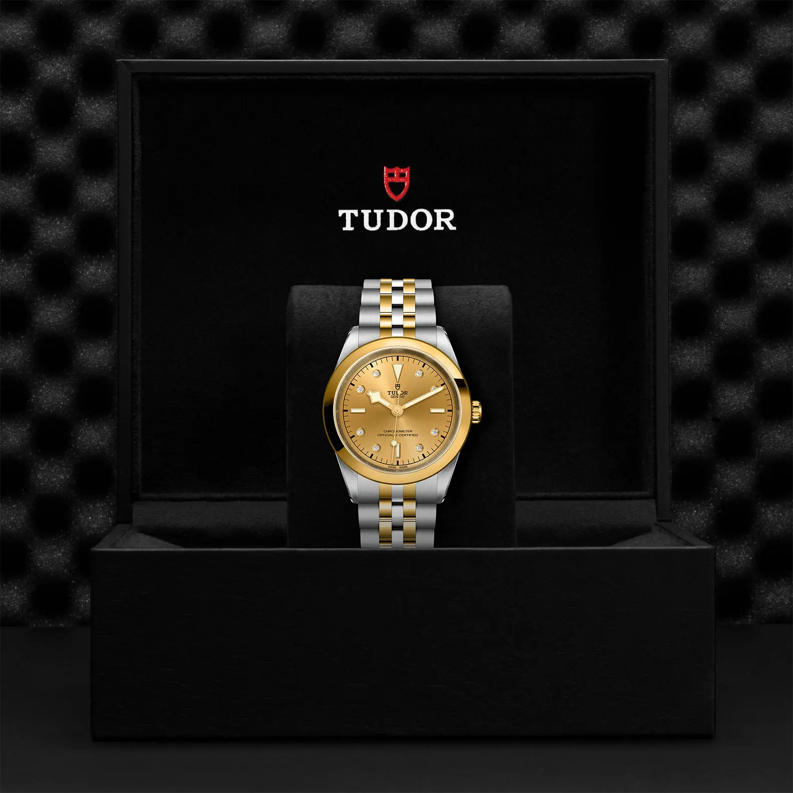 TUDORBlack Bay 41 S&GBlack Bay 31/36/39/4141mm steel case with polished and satin finish - M79683-0008 at Cortina Watch Thailand