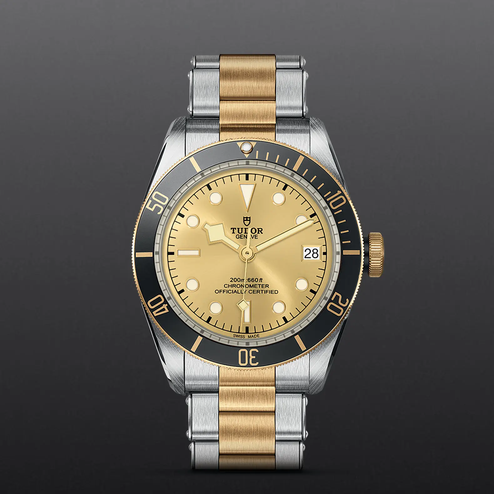 TUDORBlack Bay S&GBlack Bay41mm steel case with polished and satin finish - M79733N-0004 at Cortina Watch Thailand