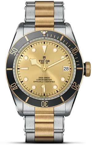 TUDORBlack Bay S&GBlack Bay41mm steel case with polished and satin finish - M79733N-0004 at Cortina Watch Thailand