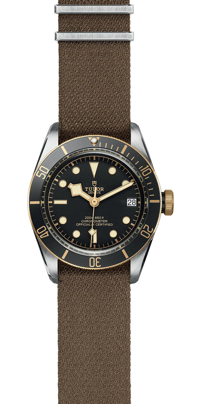 TUDORBlack Bay S&GBlack Bay41mm steel case with polished and satin finish - M79733N-0005 at Cortina Watch Thailand
