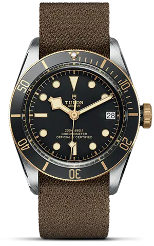 TUDORBlack Bay S&GBlack Bay41mm steel case with polished and satin finish - M79733N-0005 at Cortina Watch Thailand