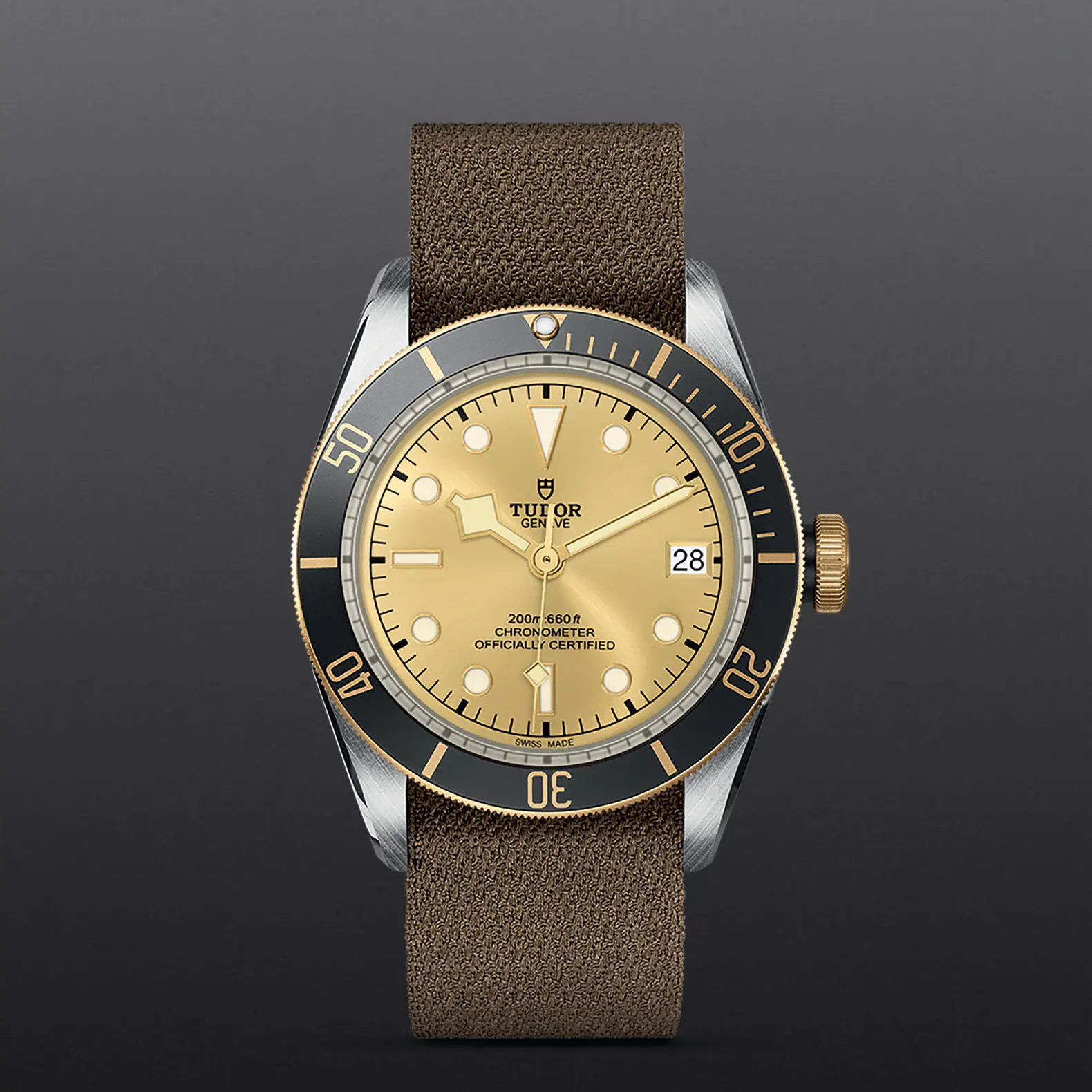 TUDORBlack Bay S&GBlack Bay41mm steel case with polished and satin finish - M79733N-0006 at Cortina Watch Thailand